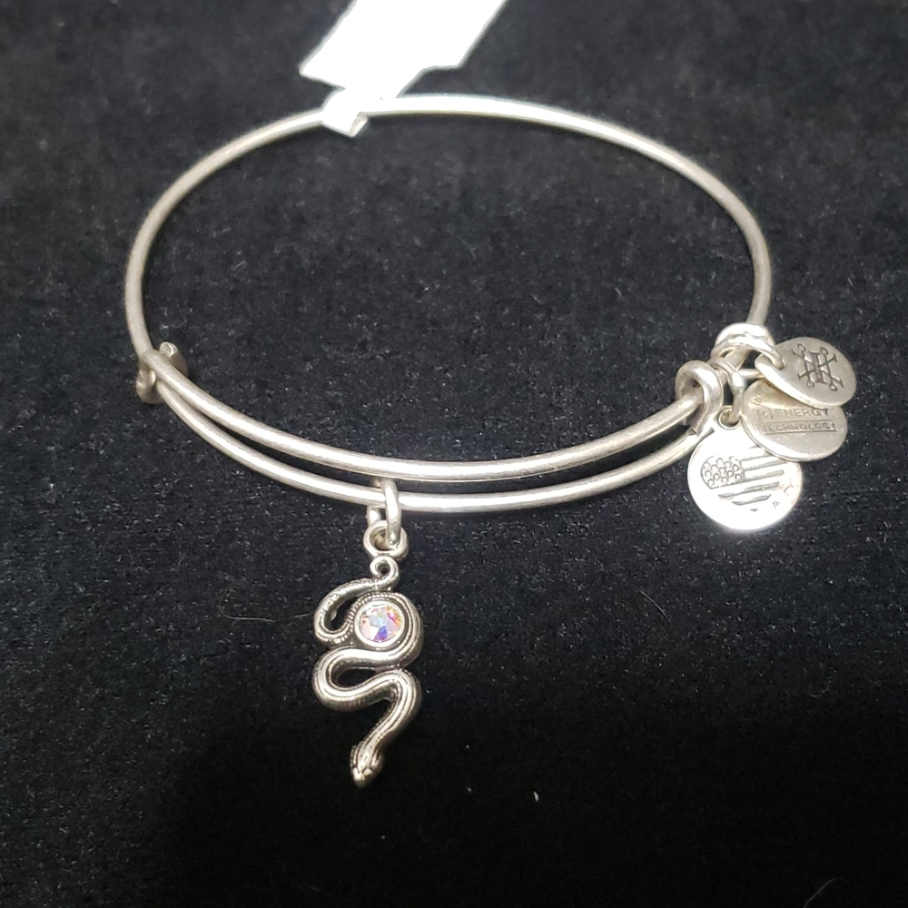 NWT Alex & Ani Rafaelian Silver Snake & Swarovski Crystal 2017 - Picture 3 of 13